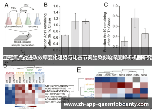 亚冠焦点战进攻效率变化趋势与比赛节奏胜负影响深度解析机制研究