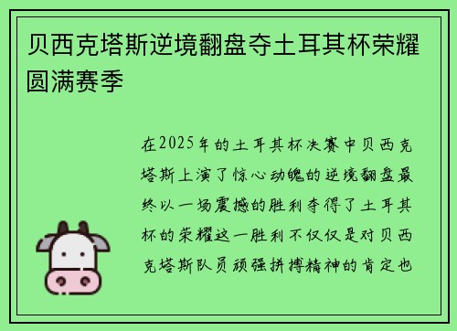 贝西克塔斯逆境翻盘夺土耳其杯荣耀圆满赛季